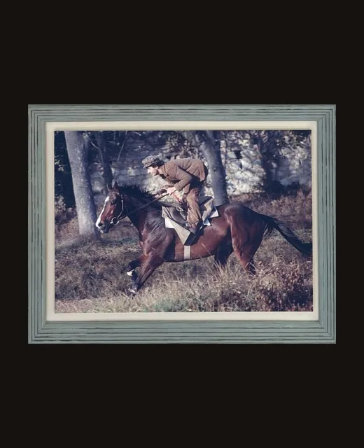 Cavalier au galop encadré