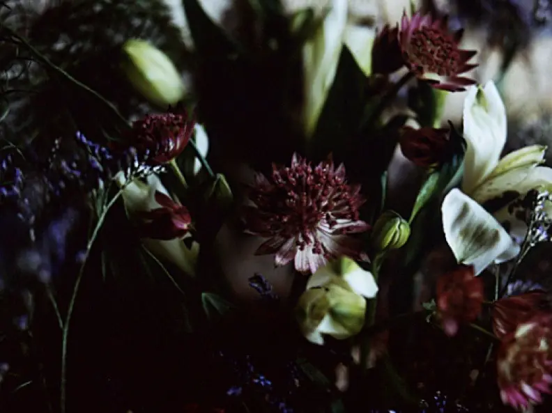 Bouquet de fleurs coupées à l'argentique, La Ferté-Fresnel, Orne — octobre 2025