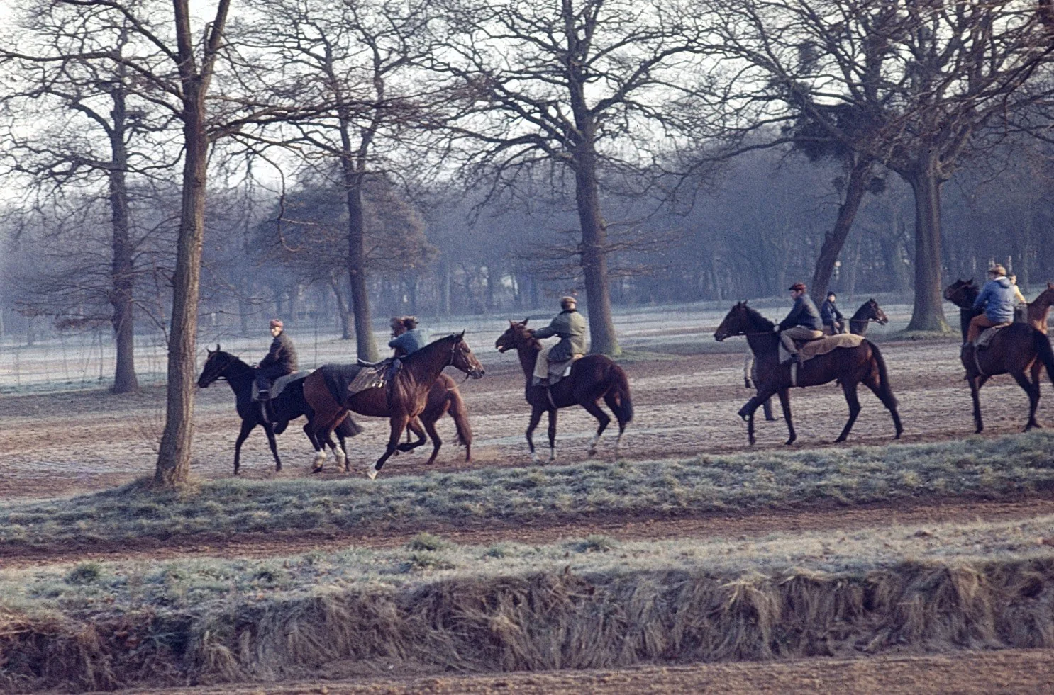 Chevaux à l'entrainement sur la piste de Maisons-Laffitte, mars 1973 — diapositive argentique 24x36