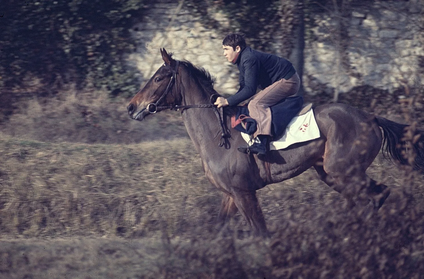 Entrainement hippique sur la piste du parc de Maisons-Laffitte, mars 1973 — argentique
