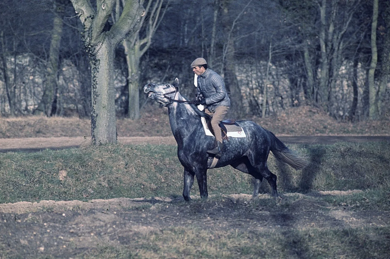 Jockey au galop, piste de Maisons-Laffitte, mars 1973 — diapositive 24x36