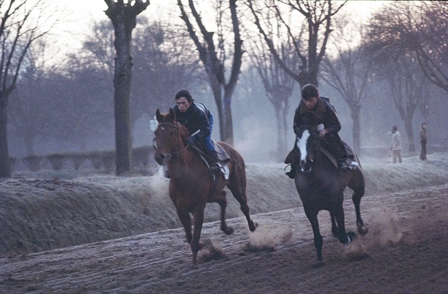Galop matinal sur la piste de Maisons-Laffitte, 1973 — diapositive argentique