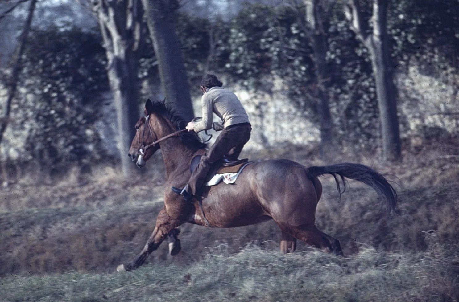 Entrainement hippique, Maisons-Laffitte, 1973 — boîtier argentique, diapositives