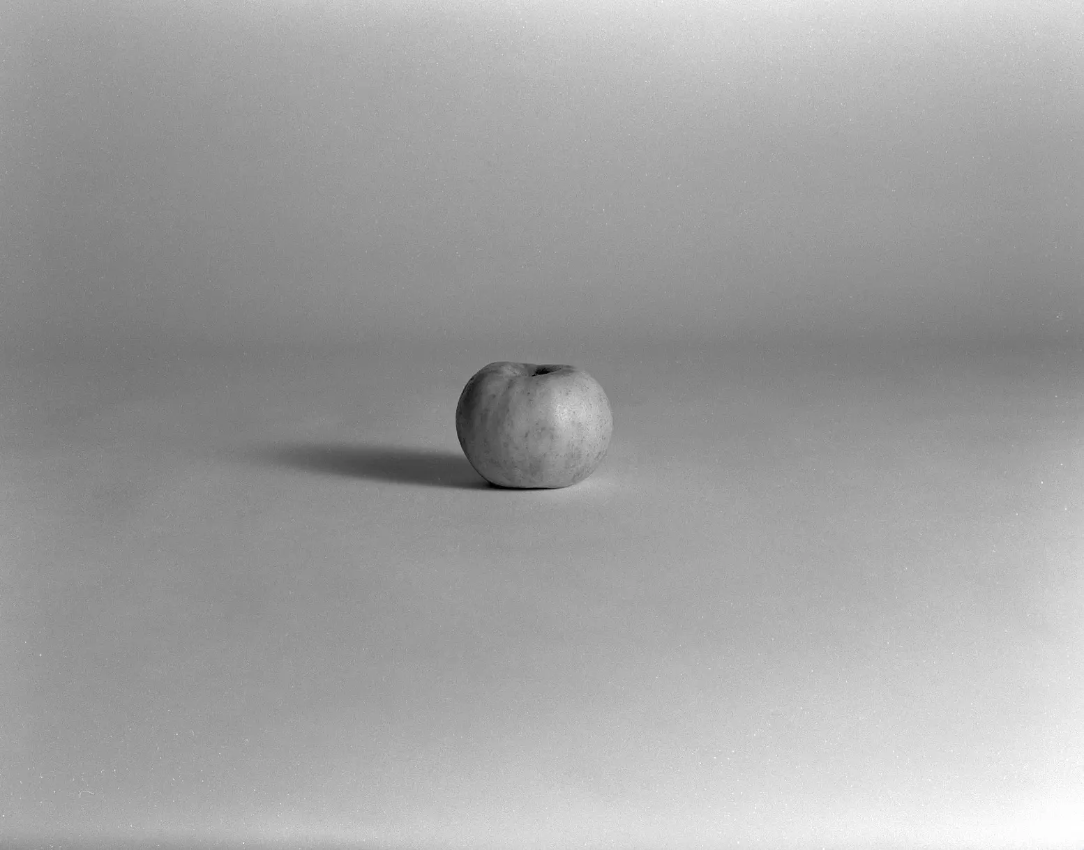 Pomme isolée sur fond gris, négatif noir et blanc 6x7, verger de l'Abbaye de la Trappe — février 2026