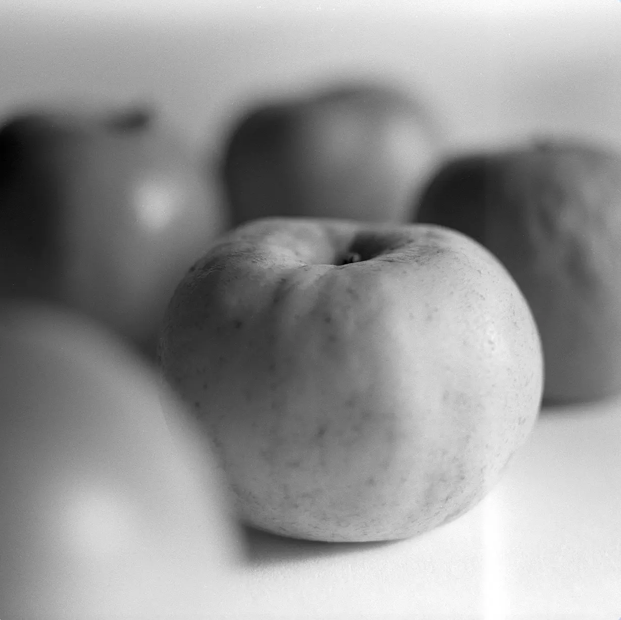 Pomme en gros plan, négatif argentique noir et blanc 6x7, Abbaye de la Trappe — février 2026